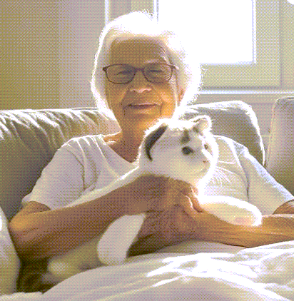 The Real Reason Cat Purring Makes Humans Feel Better [Science Explained]